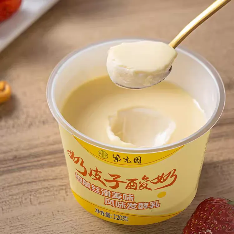 紫光园奶皮子酸奶牛奶乳制品北京老字号网红干噎酸奶顺丰快递