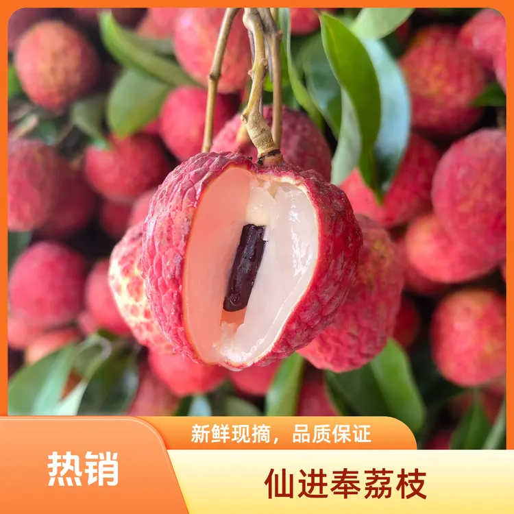 【京东空运】仙进奉荔枝王后现摘新鲜不泡水应季水果整箱5斤包邮