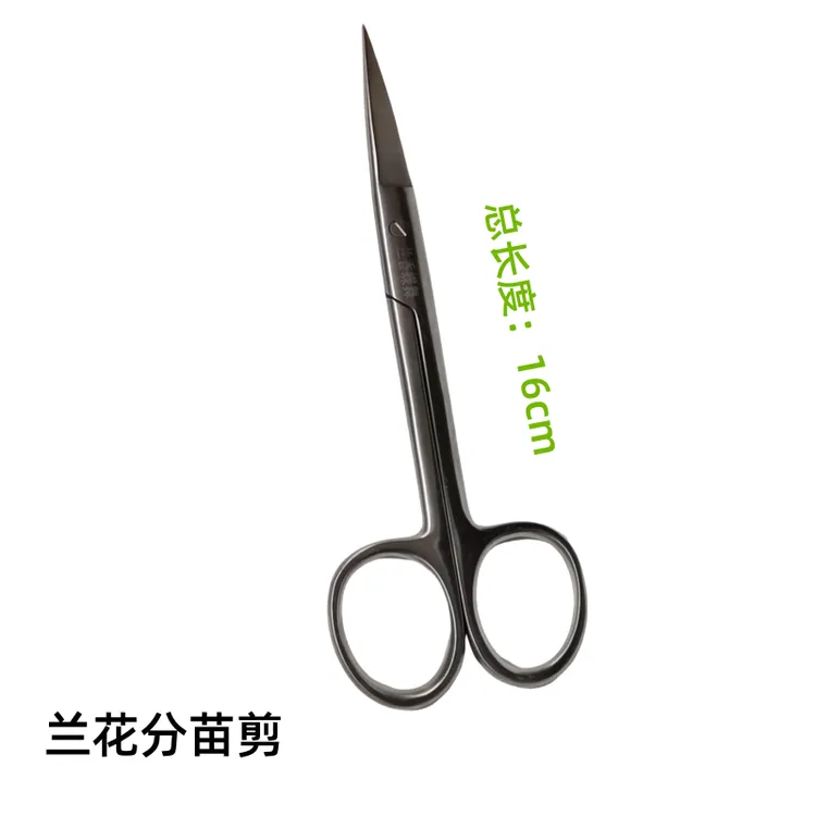 兰香蝶舞兰花分苗不锈钢剪刀兰草修叶修根剪盆景叶芽剪子分苗工具