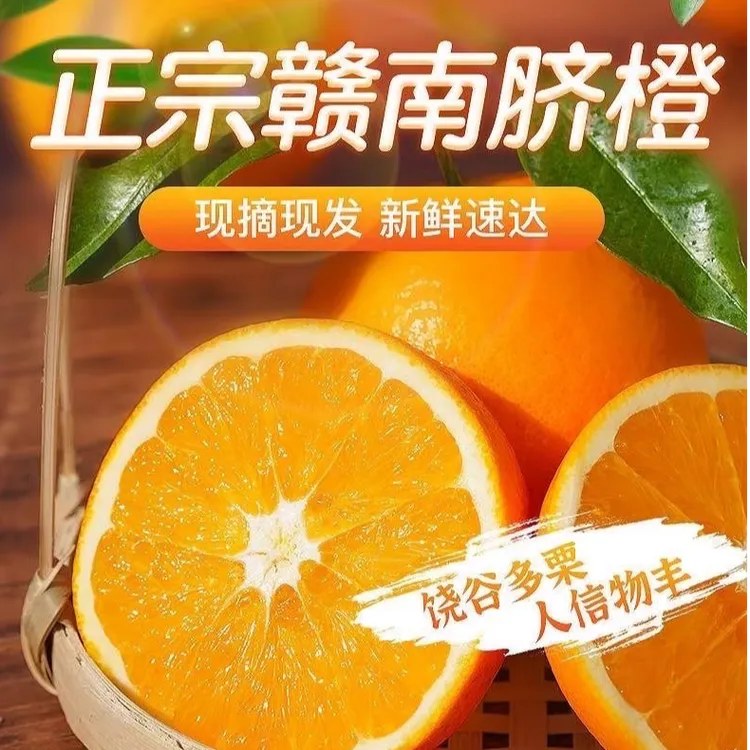 正宗赣南脐橙现摘现发新鲜