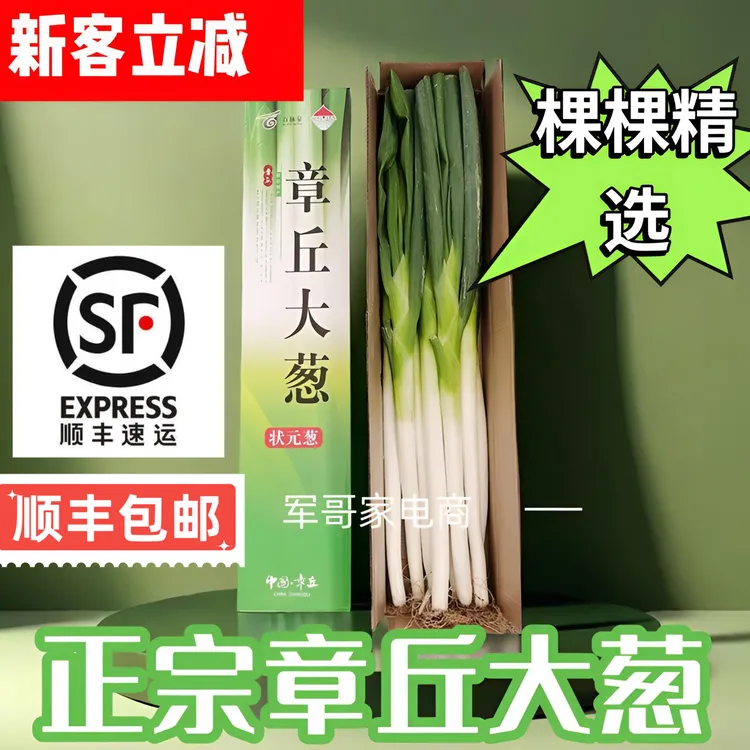 正宗山东章丘大葱新鲜当季大葱微辣脆甜绿色蔬菜产地直发山东大葱