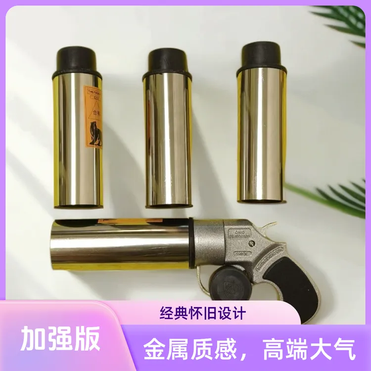 加强版新款全金属车载干粉灭火器  车载便携应急干粉灭火枪