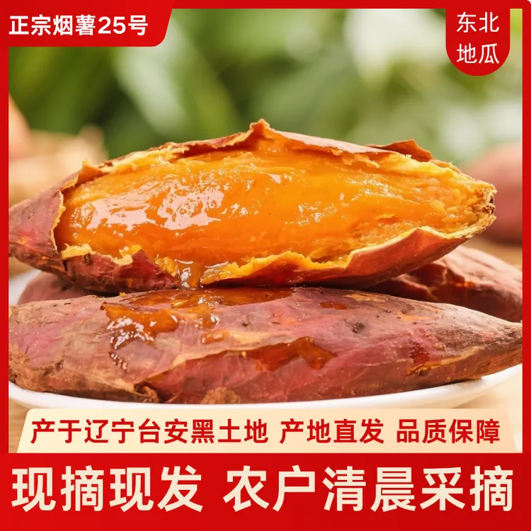 东北地瓜品质保证新鲜现挖糖心烟薯25蜜薯软糯香甜蒸煮烤地瓜红薯