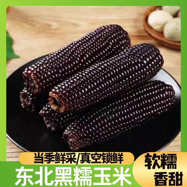 东北~黑糯玉米 整箱10根  试吃2根 整箱净重5斤 单根240g-280g