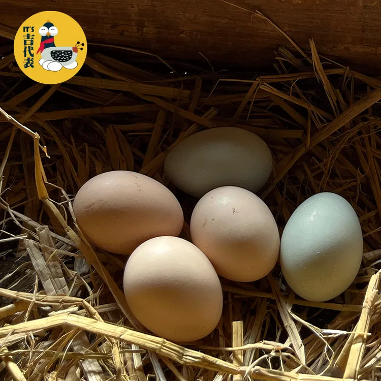 【头窝蛋】正宗农家山林生态散养土鸡蛋新鲜笨鸡蛋40枚