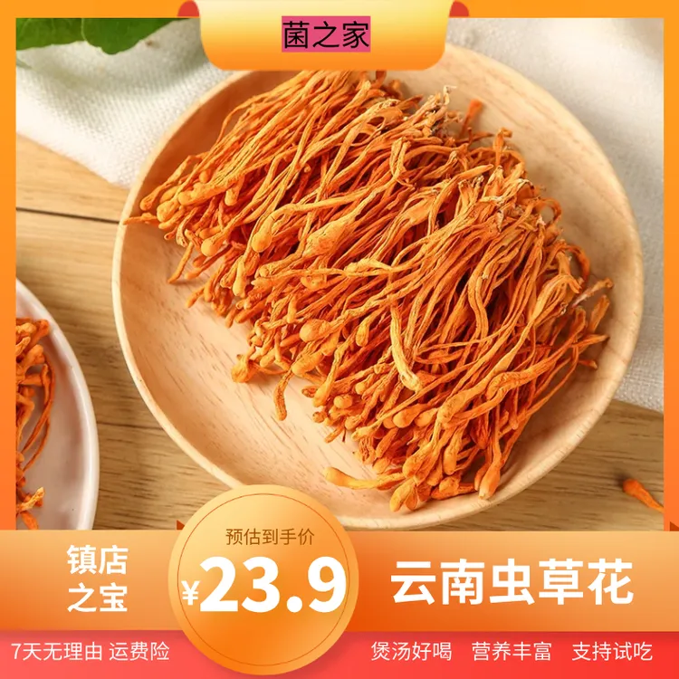 云南深山虫草花干货九成干香味圆润适合炖鸡煲汤