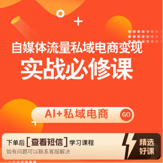 AI+私域电商(大课)（留意短信解锁课程）