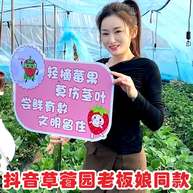 草莓采摘园广告牌农场大棚禁止品尝文明采摘先称后吃插地标识立牌