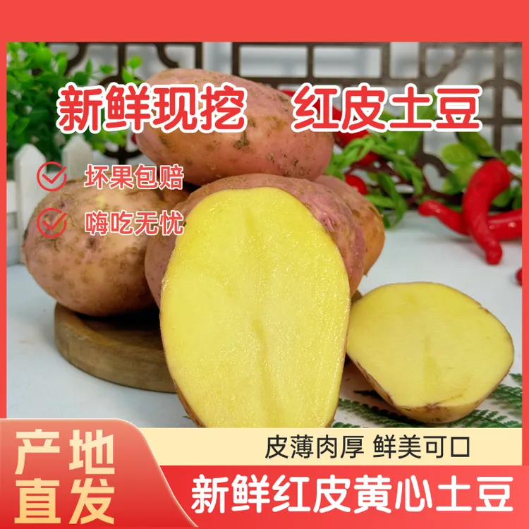 云南大理高原88号红皮黄心土豆农家现挖洋芋