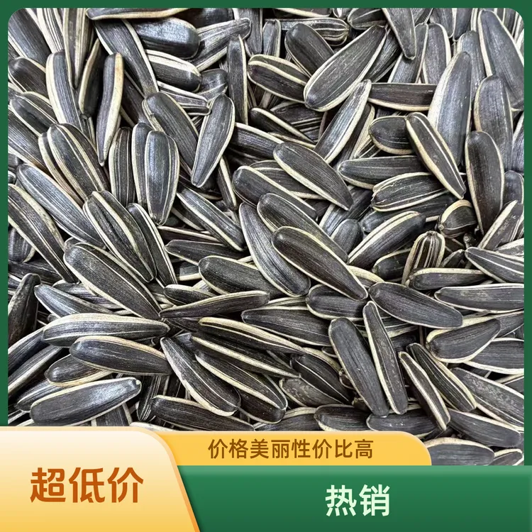 原味现炒内蒙（牙签）瓜子