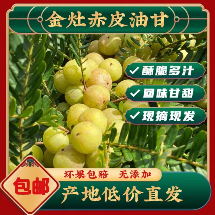 潮汕油甘果金灶赤皮油甘果 回甘 小个 煲汤 榨汁孕妇水果 两斤装
