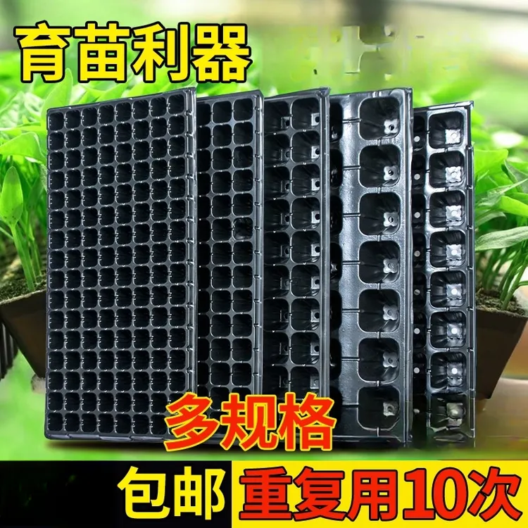育苗育盘苗盆穴盘多肉种植蔬菜育种扦插育苗穴盘蔬菜育种收纳盒子
