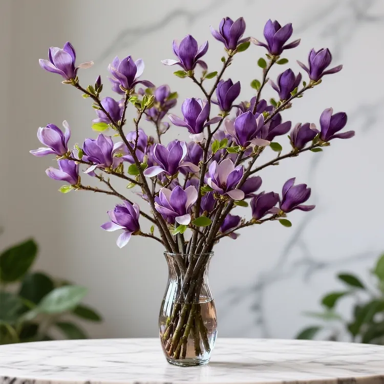 【遇水开花】水培玉兰鲜枝带花苞室内外耐浓香寒办公室内鲜切枝条桃