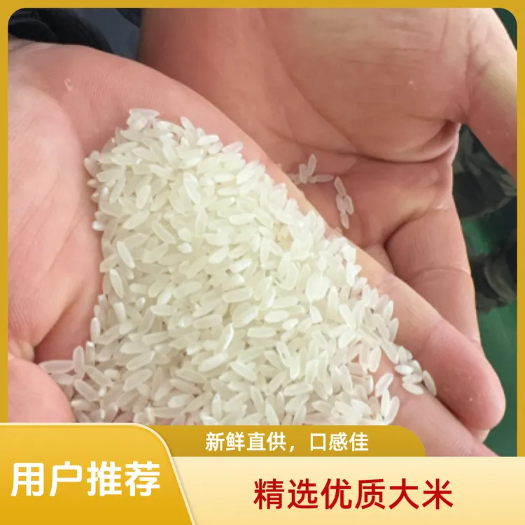 正宗东北大米鸭田大米长白礼稻稻花香2025年新米现磨国营农场直发