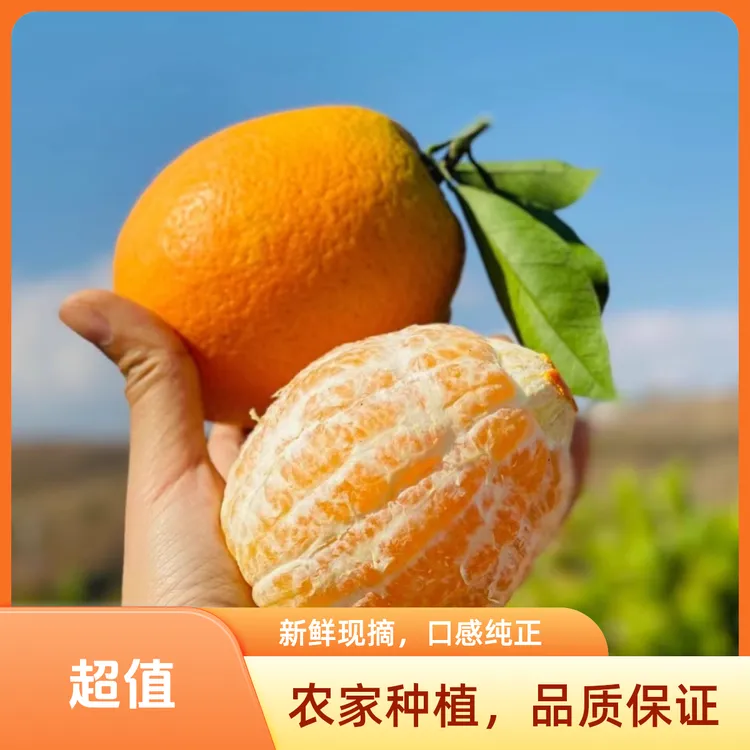 【自家果园】宜昌纽荷尔脐橙酸甜适中香嫩多汁维C应季水果新鲜采摘