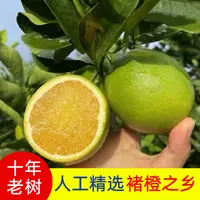 褚橙之乡哀牢山头茬冰糖橙皮薄多汁应季水果自然采摘发货坏果包赔
