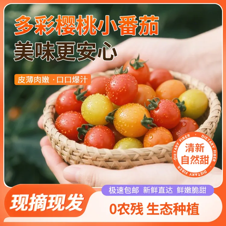 多彩樱桃小番茄爆汁小番茄酸甜均衡多汁香甜多色自然熟水果番茄