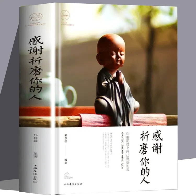 感谢折磨你的人正能量情绪管理心态调整人生哲理书籍书RJ