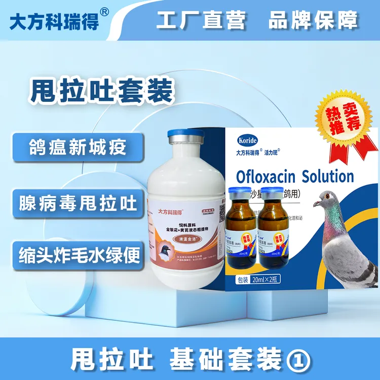 大方科瑞得甩拉吐套餐比赛训放关赛必备赛鸽种鸽观赏鸽不伤鸽