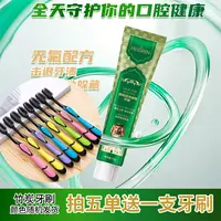 【宠粉福利】拍5单赠一支牙刷 美蒂芬薄荷洁净清新牙膏 绿色