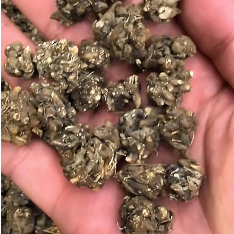 云南当季新猫爪草无硫自然晾晒爪爪分明