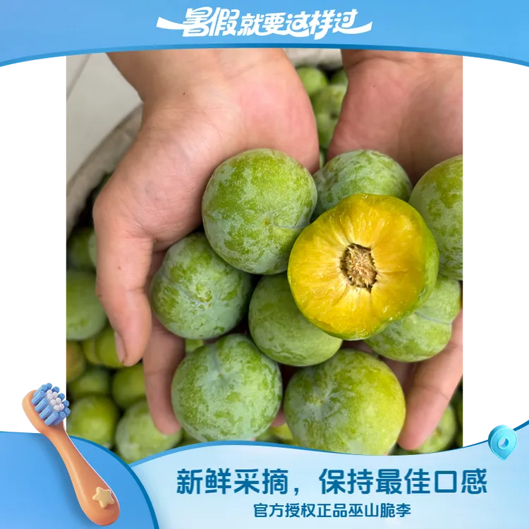 正宗重庆巫山脆李清脆李子新鲜当季水果5斤