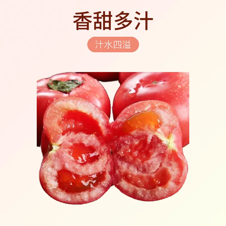 【顺丰包邮】陕西水果西红柿酸甜可口沙瓤现摘现发4.5斤/3斤装