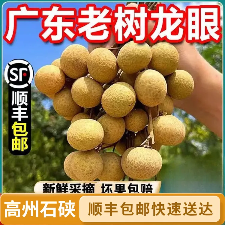 顺丰包邮2025年龙眼新鲜现摘水果新鲜应季桂圆石硖/储良龙眼包邮