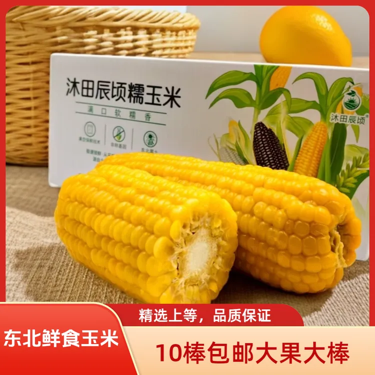 东北特产长白山鲜食玉米每棒300克以上10棒包邮