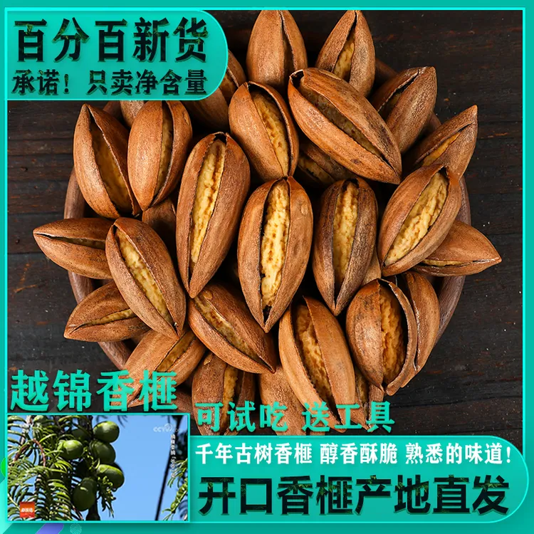 越锦开口香榧当季新货新鲜现炒老树香榧产地直发嵊州特产坚果零食