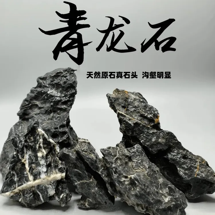 青龙石松皮石多种石鱼缸展示石天然真石头草缸假山小块盆景微景观