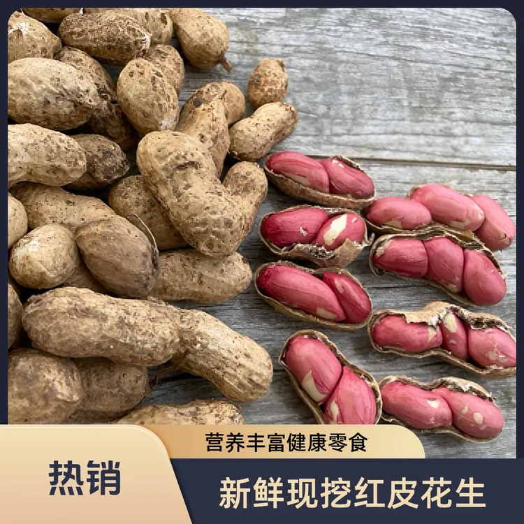【水果花生】新鲜现挖带壳湿花生红衣花生可水煮生吃口感好