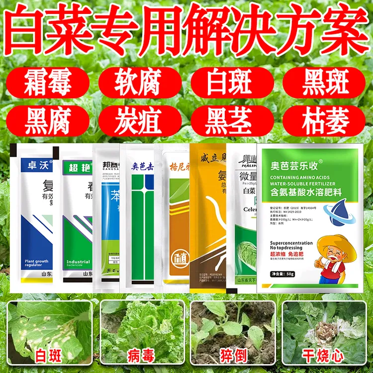 白菜肥料甘蓝防腐包心剂速长剂生长剂抗寒抗旱发臭烂帮烂心叶面肥