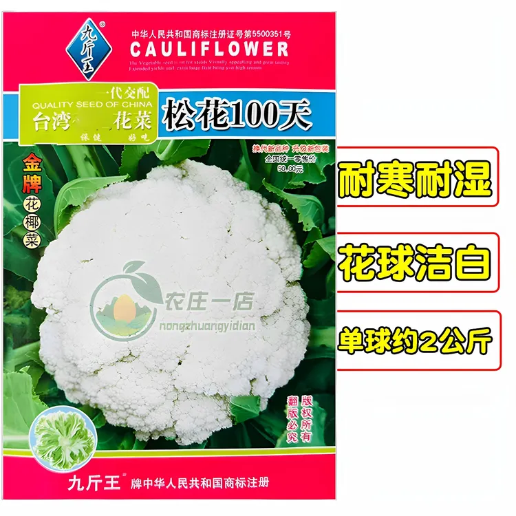 青梗松花菜种子花球松大中熟花菜种籽100天肉质柔软耐湿耐热抗病