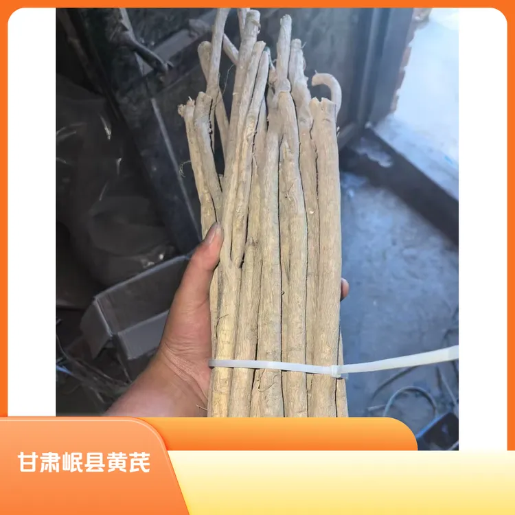 甘肃岷县产地黄芪