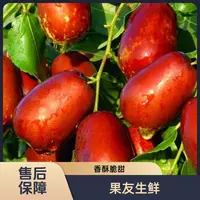 【壶瓶枣】酥脆甜 袋装净果5斤左右太原晋中吕梁忻州购买