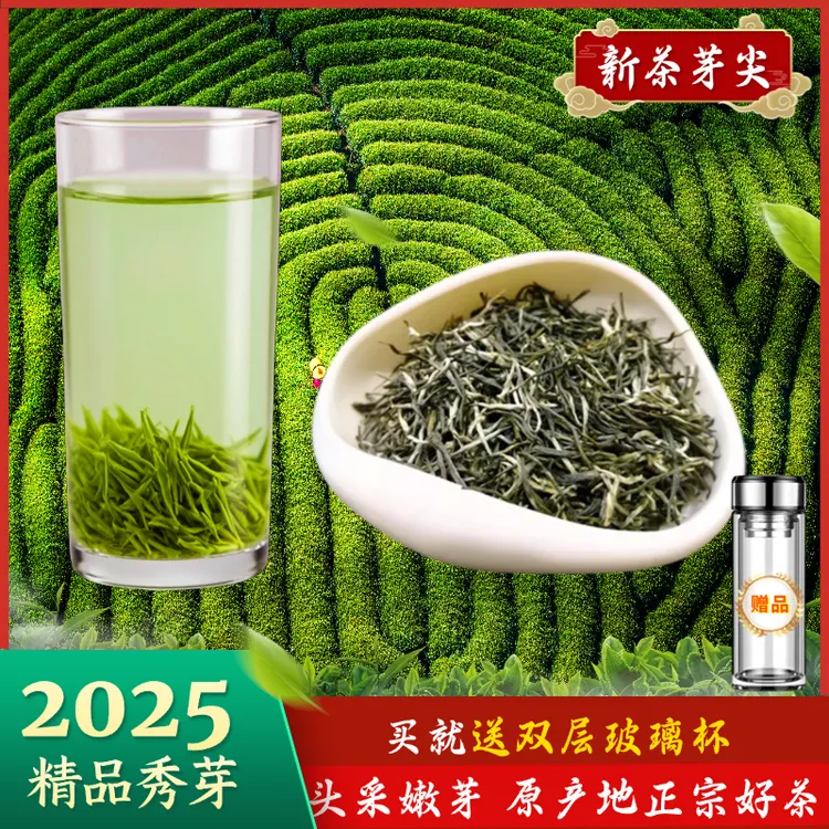【特级手工毛尖秀芽】2025毛尖新茶高山云雾绿茶浓香茶耐泡口感醇厚