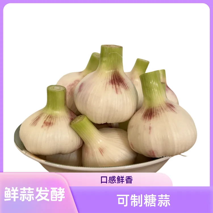 2025湿蒜嫩蒜紫白皮鲜蒜现挖现发可腌制糖蒜泡蒜去泥新鲜大蒜头