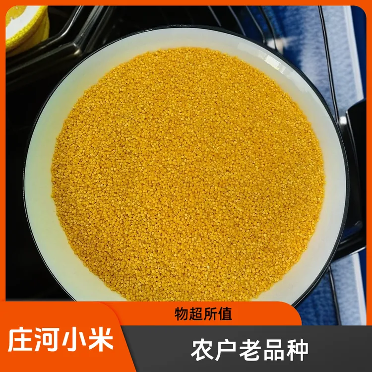 庄河塔岭农户老品种小米2.5斤