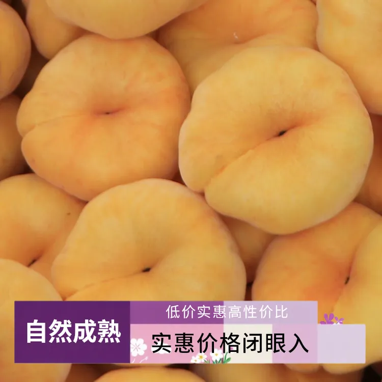 正宗蒙阴桃子中盘11毛蟠桃脆甜多汁现摘现发净重5斤包邮
