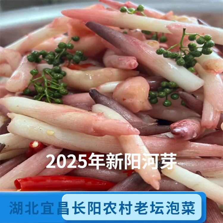 （泡阳荷芽）2025年湖北宜昌长阳特产农村老坛泡嫩阳菏芽1斤泡菜