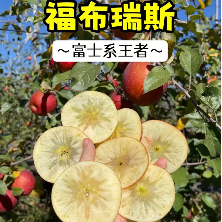 【顺丰快递】云南樱桃小苹果高原冰糖心净重3斤礼盒装(约10-15枚)