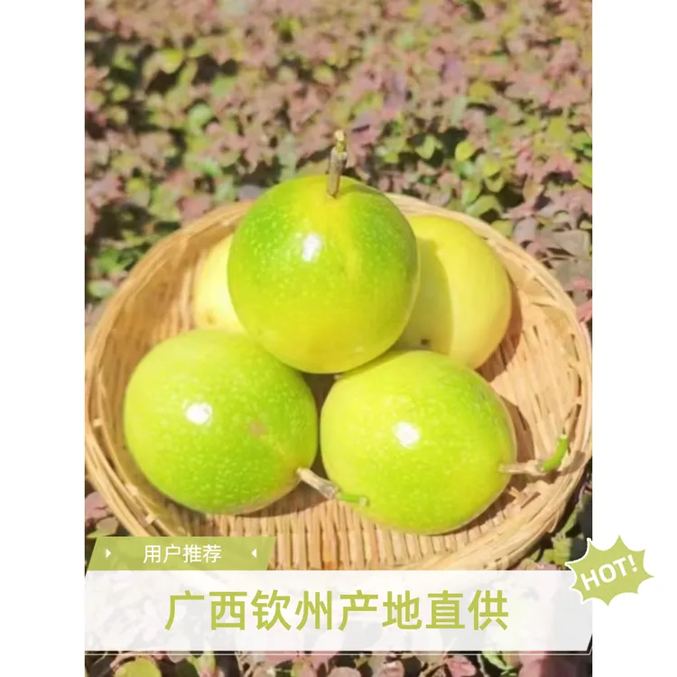 广西钦蜜九号百香果新鲜包邮香甜多汁富含维生素