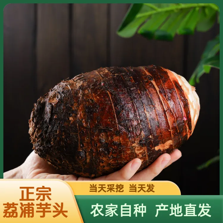 荔浦芋头正宗新鲜现挖粉糯香芋广西桂林正宗特产芋大头毛芋头