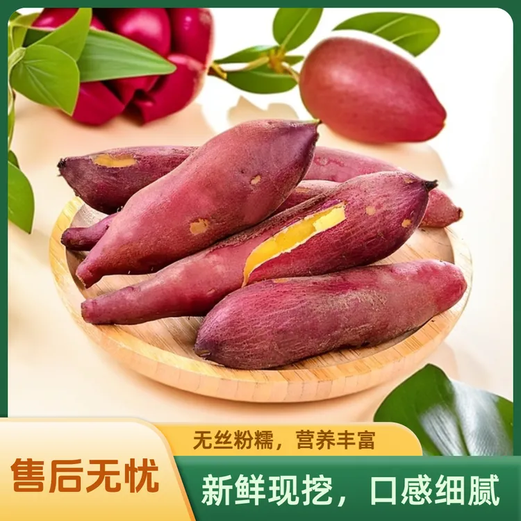 新鲜现挖桥头板栗红薯，粉面干甜桥头地瓜，早餐佳品