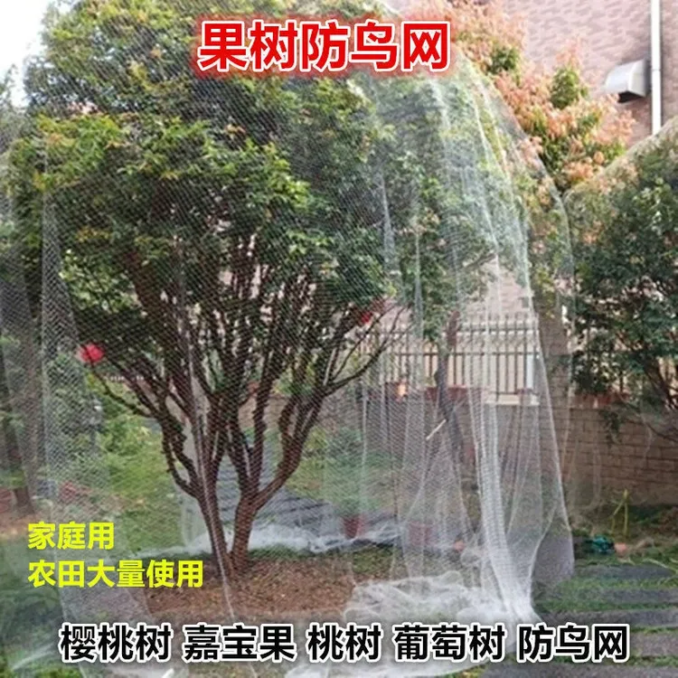 果树防鸟网 樱桃树枇杷树嘉宝树防鸟罩尼龙网葡萄园挡鸟拦鸟网子