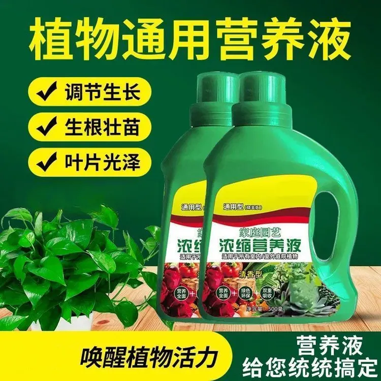 植物营养液通用型绿植僵苗黄叶急救土培水培盆栽花卉花肥