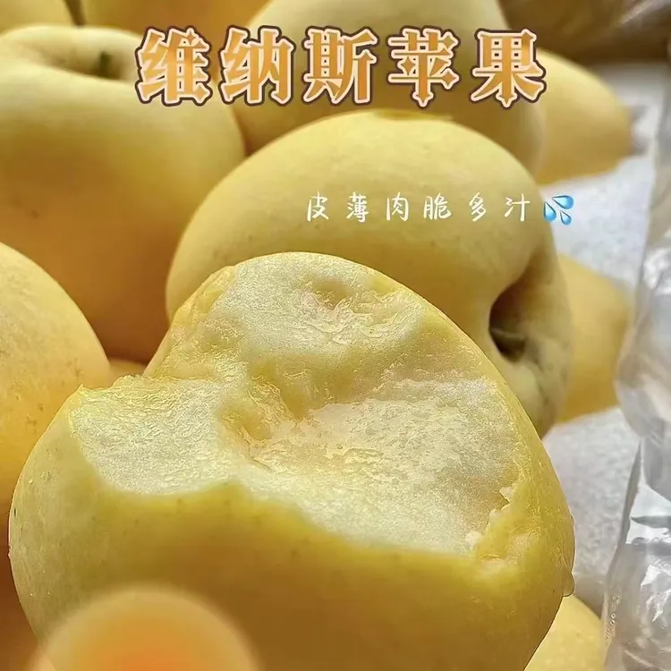 山东维纳斯苹果，北纬37度脆甜爆汁 现摘现发