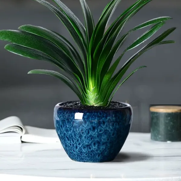 简约轻奢陶瓷花盆高颜值室内外大口径盆栽君子兰发财树绿萝绿植