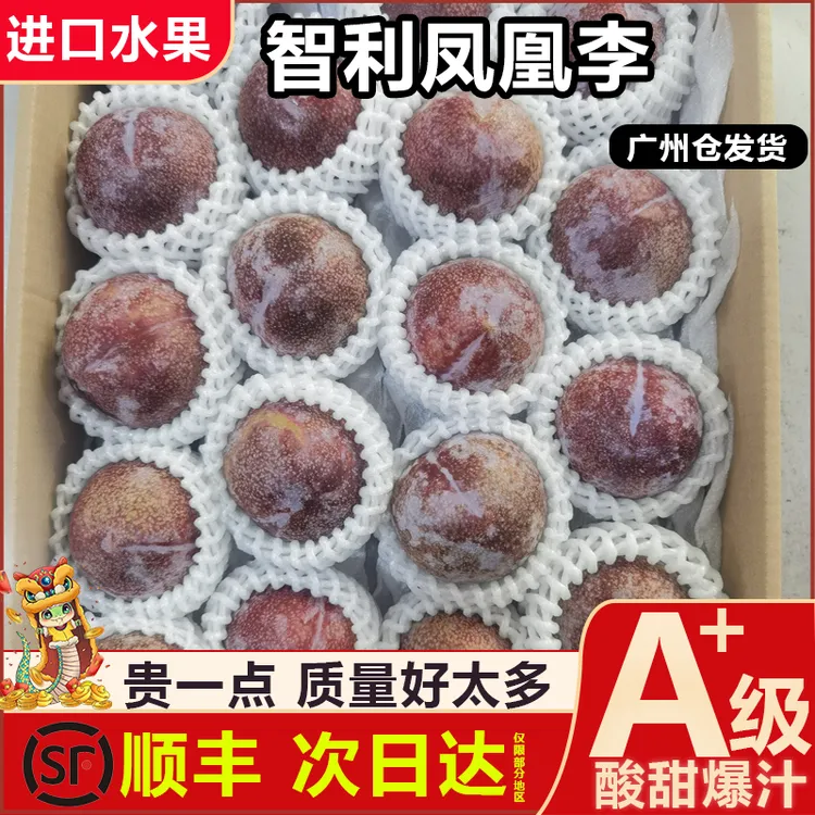 【顺丰速运】智利进口凤凰李恐龙蛋水果1/5斤装特大果好吃澳洲李子